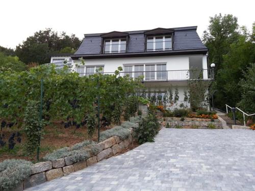 Idyllisches Wohnen Weinberg - Apartment - Bad Kissingen