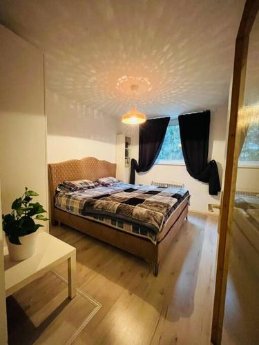Comfortable, suitable apartment - Apartment - Salzburg