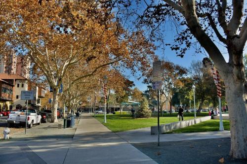 Walk to Todos Santos - Historic Downtown Delight Walk to Todos Santos - Historic Downtown Delight