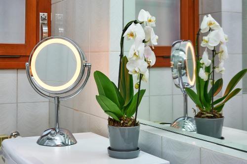 Anastasio II apartment - image 12