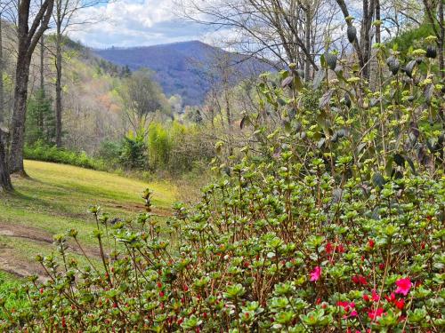 Bryson City Creekside Home with Hot Tub- 3 bedroom-2 bath home in Bryson City, USA