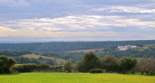 El Palomar de la Breña - image 10
