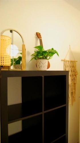 Habitación céntrica en Piso Compartido, Valencia (Foto 8)