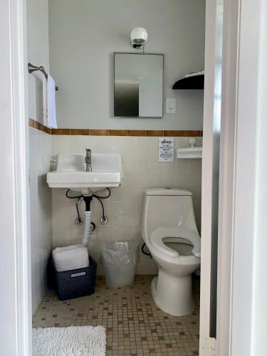 The Bonsai The Bonsai