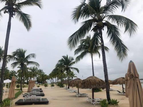 Playa Nueva Romana Penthouse in La Caña