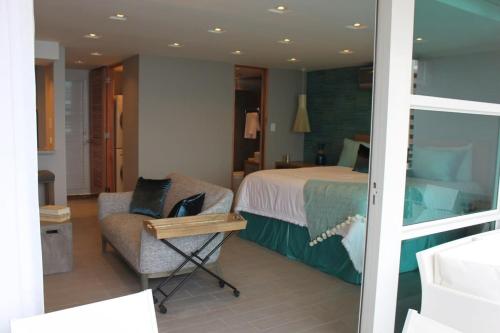 Enchanted 17 Jewel Beachfront Luquillo -Pool