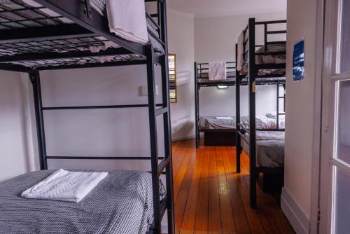 Bed in 6-Bed Mixed Dormitory Room