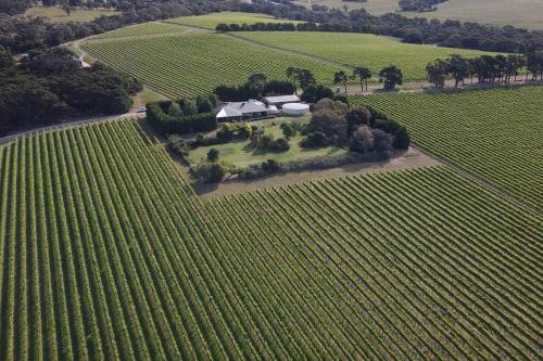 Vineyard Lane - Winery Escape