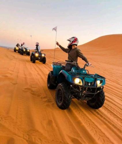 Holiday Desert Camp - image 5