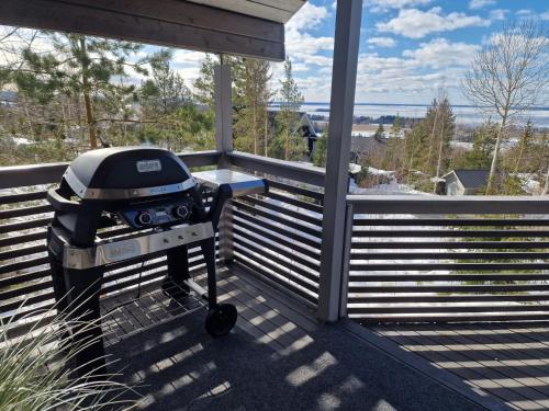 景觀, Villa Laiskajaakko in 阿拉耶爾維