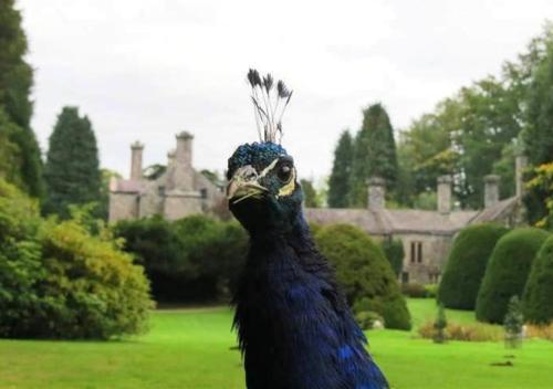 Facilities, The Gatehouse in Kirkdale