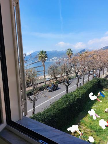 PARADISO 4