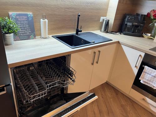 Marijas Apartment with Comfort for 5, Riga (foto 9)