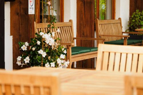 Alpenhotel Sonneck - image 7