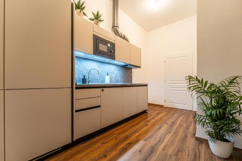 Standard Studio image 9