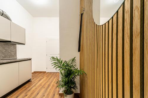 Standard Studio image 6
