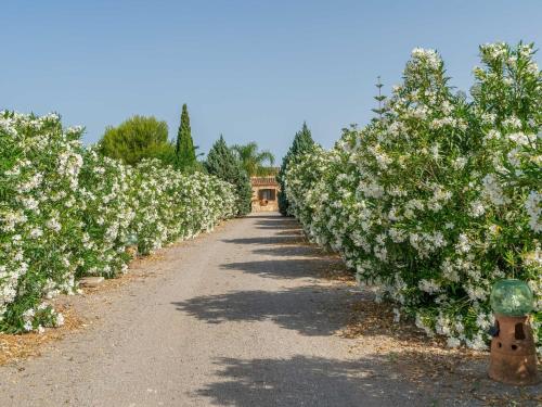 Banc Doli - Villa With Private Pool In Manacor Free Wifi