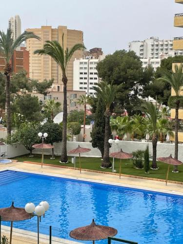 BERMUDAS - TURIS PREMIUM in Benidorm - Costa Blanca