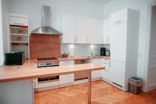Raimond Apartment Ottakring Top 14, Vídeň (fotografie 3)