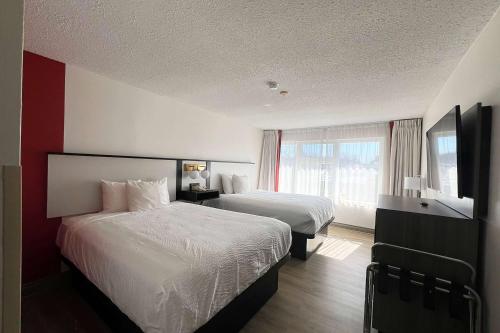 Ramada by Wyndham Kingston - Accommodation