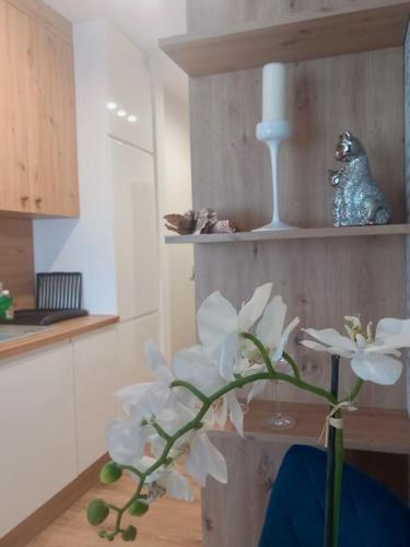 Jaworska 4 Apartments Wrocław, Breslau (Foto 6)