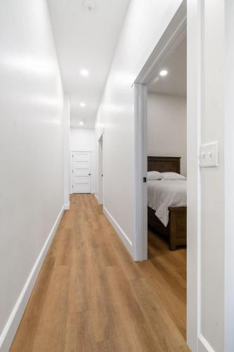 Young Suite Young Suite