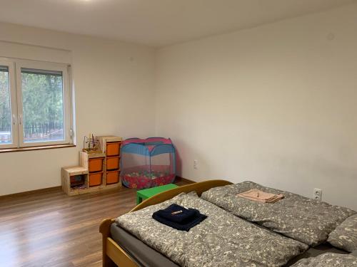 Szórakozási lehetőségek, Sárdoár Vendégház (Sardoar Vendeghaz) in Abádszalók