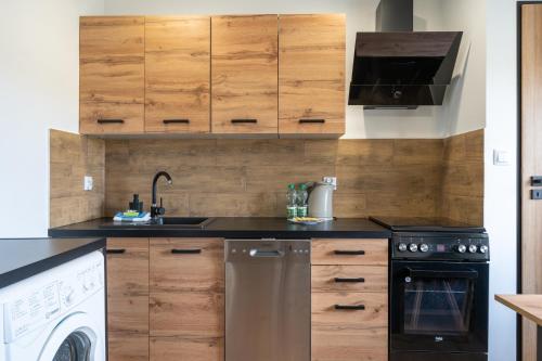 Cucina, Sosnowiec City Centre Apartment by BookingHost in Sosnowiec