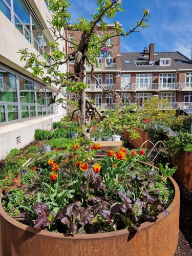 Court Garden Hotel – The Hague, WV