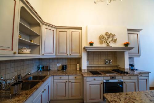 廚房, 托朗格城堡酒店 (Chateau de Thorens) in 托朗格利耶爾