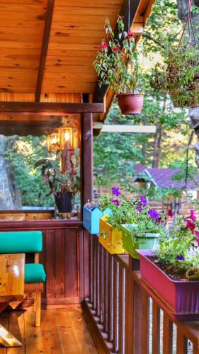 Abant Korudam bungalov butik otel in Yolçatı (Bolu)