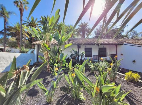 Hacienda La Vizcaina Room Type - One-Bedroom House with Terrace and Pool View - Strelitzia Hacienda La Vizcaina Room Type - One-Bedroom House with Terrace and Pool View - Strelitzia