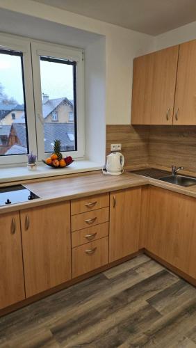 廚房, Apartmány U Provazníka (Apartmany U Provaznika) in 茲迪科夫