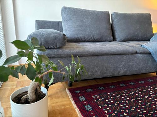 Ljubljanica Apartment — rental in Jurčkova 5a, Ljubljana SI, 1000