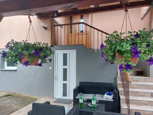 Apartman KATARINA Mrežnica (Apartman KATARINA Mreznica) in Galović Selo
