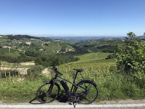 B&B TERRA DI COLLINA