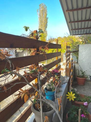 Ground floor apartment with gym & yard in Paggaio in Proti