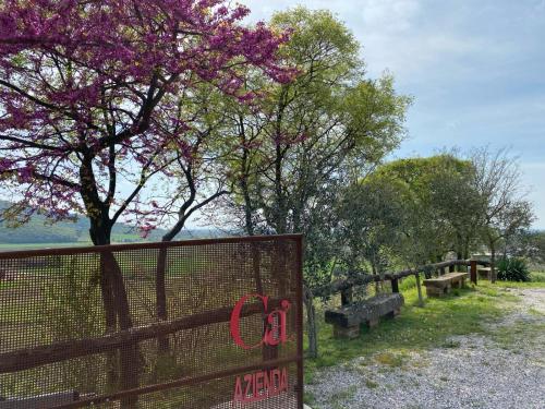 AZIENDA AGRICOLA CA' LUNGA