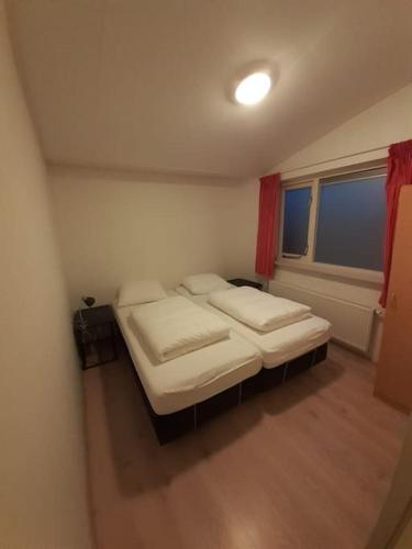 Saevis tranquillus in undis in de IJsvogel in Diffelen