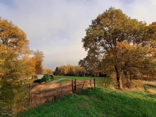 Saevis tranquillus in undis in de IJsvogel in Diffelen