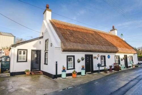 Fool's Haven Thatched Cottage gîte à louer Bellahill