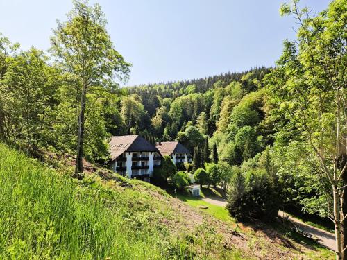 Ferienwohnung in Triberg am Waldrand - idyllisch, ruhig, erholsam - Apartment - Triberg