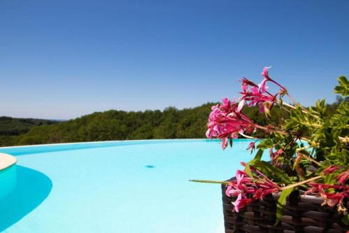 Gite de Janis Spa et piscine - Location saisonnière - Le Vigan