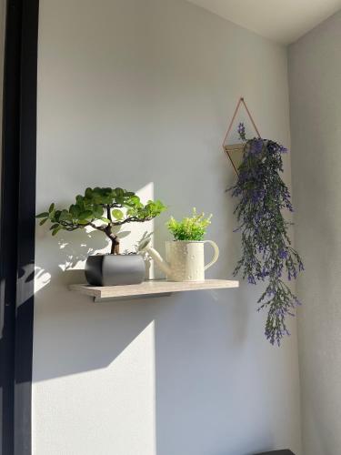 Apartamento en Laureles con Aire Acondicionado, Medellín (fotografie 8)