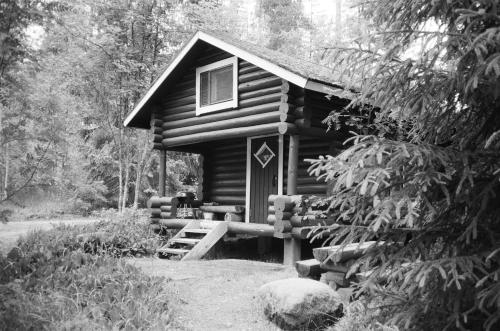 Forest Cabin with Electric Sauna