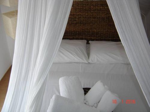 Haras House 1