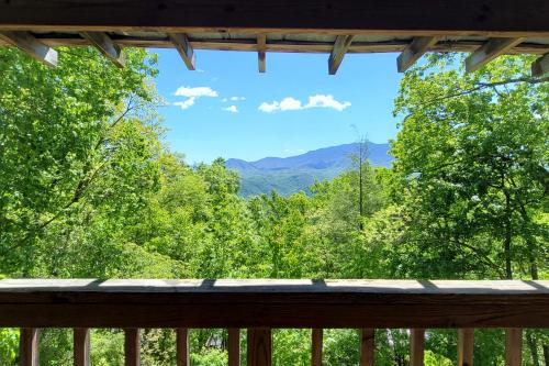 Smoky Johnsons in Gatlinburg, USA