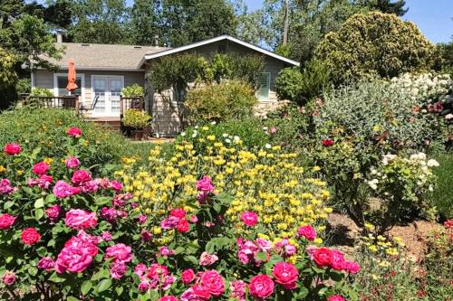 Vine Haven in Healdsburg, Vereinigte Staaten von Amerika
