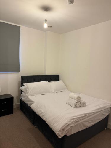 Spacious 2 Bedrooms Apartment In Stratford