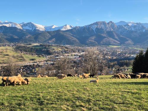 Biały Domek Rafaczówki Biały Domek Rafaczówki